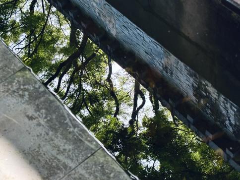 设计工程学院“春染校园·镜拾芳华”校园春色映像摄影活动圆满落幕